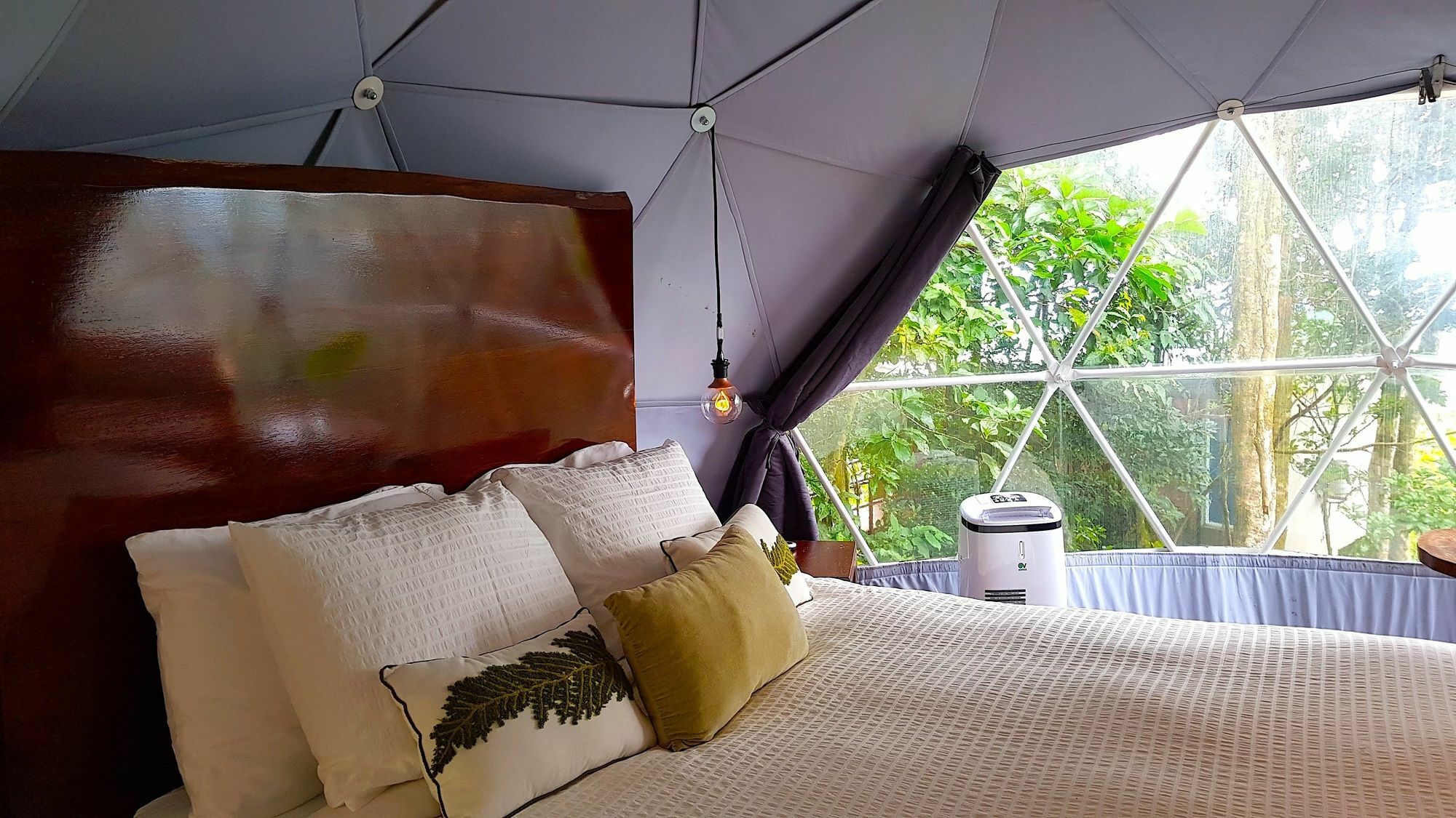 Chira Glamping Resort Monteverde Монте-Верде Экстерьер фото