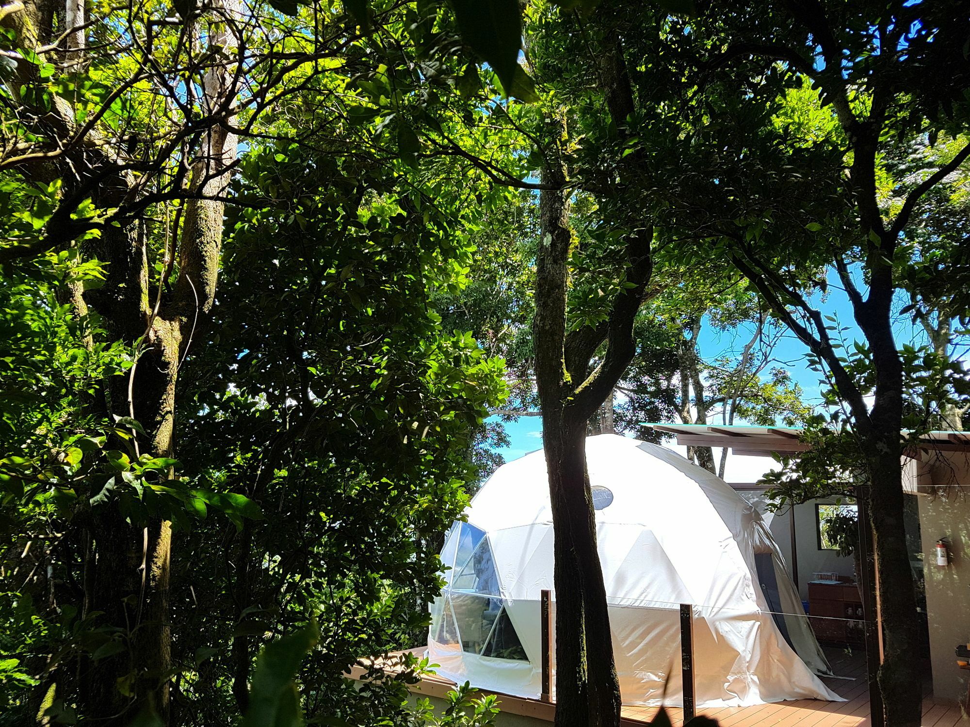 Chira Glamping Resort Monteverde Монте-Верде Экстерьер фото