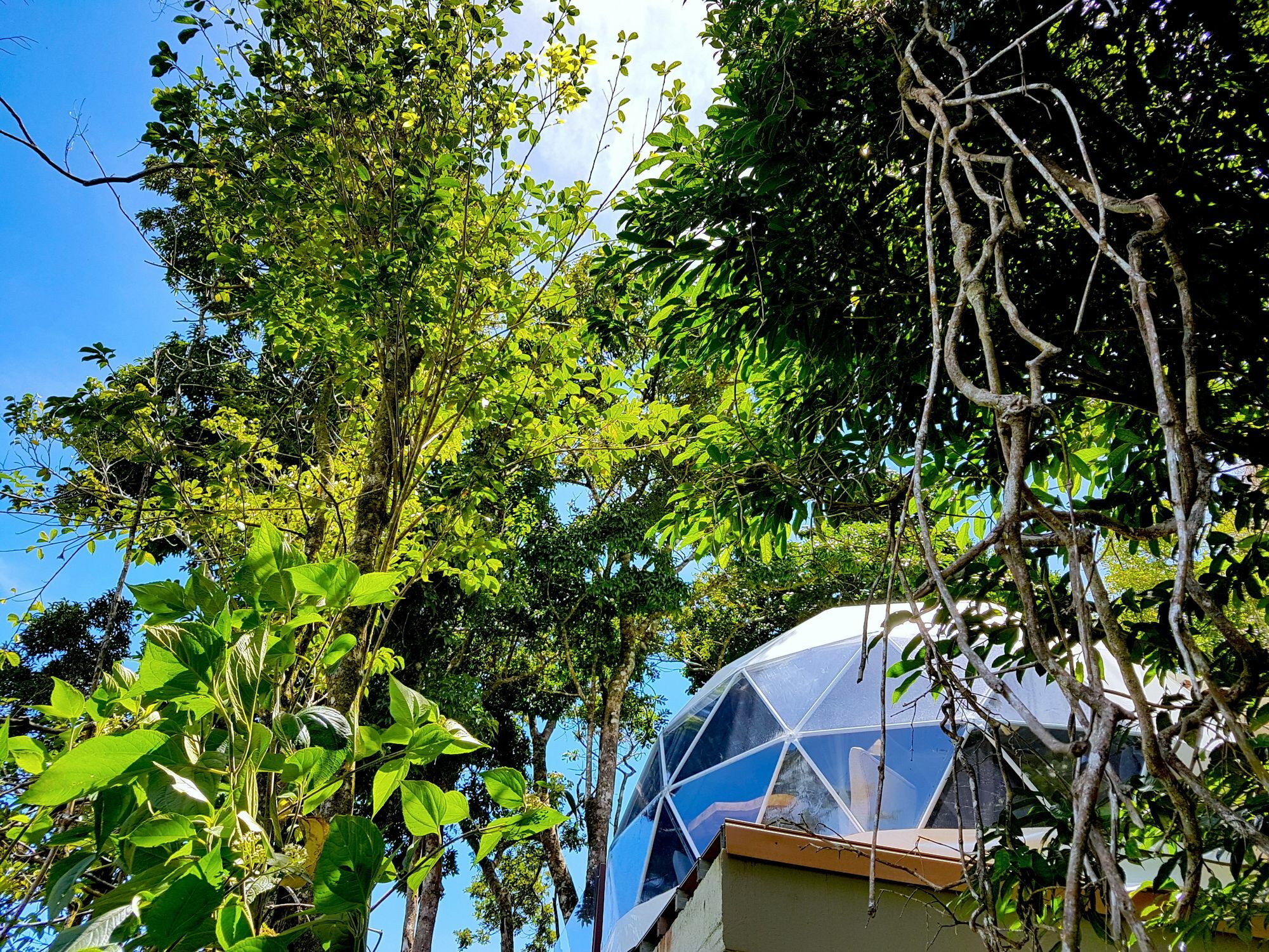 Chira Glamping Resort Monteverde Монте-Верде Экстерьер фото